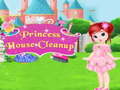 Xogo Princess House Cleanup