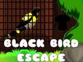Xogo Black Bird Escape