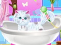 Xogo Excellent Pet Groomer