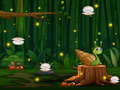 Xogo Snail Run