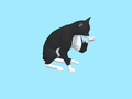 Xogo Cat Escape