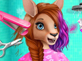 Xogo Australia Animal Hair Salon