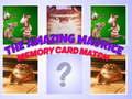 Xogo The Amazing Maurice Card Match