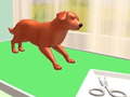 Xogo Pet Care