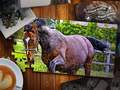 Xogo Jigsaw Puzzle Horses Edition