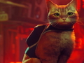 Xogo Stray