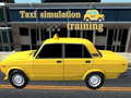 Xogo Taxi simulation training