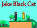 Xogo Jake Black Cat