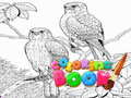 Xogo Coloring Book for Adults
