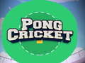 Xogo Pong Cricket