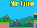 Xogo Mr Toro