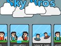Xogo Sky Bros