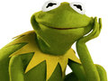 Xogo Coloring Book For Kermit the Frog 