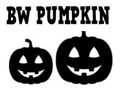 Xogo BW Pumpkin