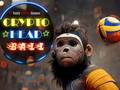 Xogo Crypto Head Ball