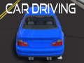 Xogo Car Driving