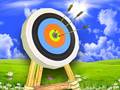 Xogo Archer Master
