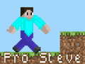 Xogo Pro Steve