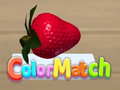 Xogo Color Match