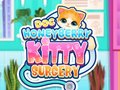 Xogo Doc HoneyBerry Kitty Surgery