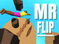 Xogo Mr Flip