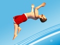 Xogo Flip Divers