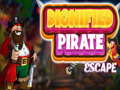 Xogo Dignified Pirate Escape