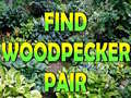 Xogo Find Woodpecker Pair 