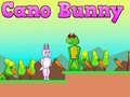Xogo Cano Bunny
