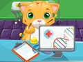 Xogo Cat Doctor