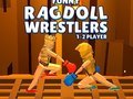Xogo Funny Ragdoll Wrestlers
