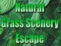 Xogo Natural Grass Scenery Escape