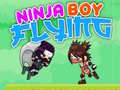 Xogo Ninja Boy Flying