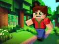 Xogo Minicraft