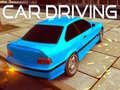 Xogo Car Driving