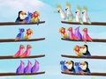 Xogo Bird Sort Puzzle