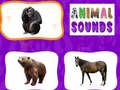Xogo Animal Sounds