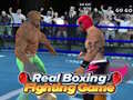 Xogo Real Boxing Fighting Game
