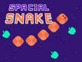 Xogo Spacial Snake