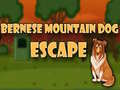 Xogo Bernese Mountain Dog Escape
