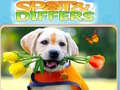 Xogo Spot&Differs