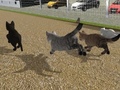 Xogo Run Cat Cat Race