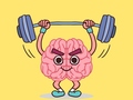Xogo Perfect Brain 3d