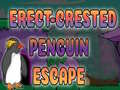 Xogo Erect Crested Penguin Escape