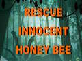 Xogo Rescue Innocent Honey Bee 