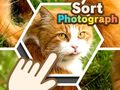 Xogo Sort Photograph