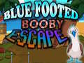 Xogo Blue Footed Booby Escape