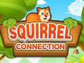 Xogo Squirrel Connection
