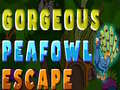 Xogo Gorgeous Peafowl Escape