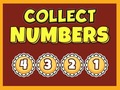 Xogo Connect Numbers